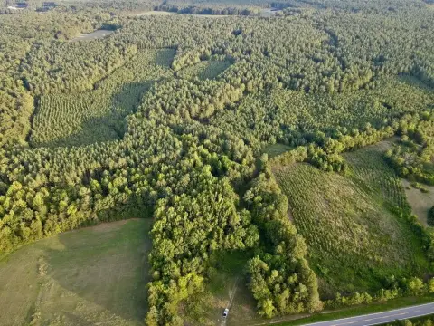 Timbered Hunting Land