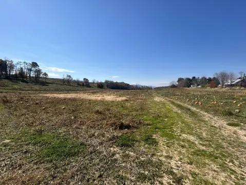 29.42 Acres Vacant Land