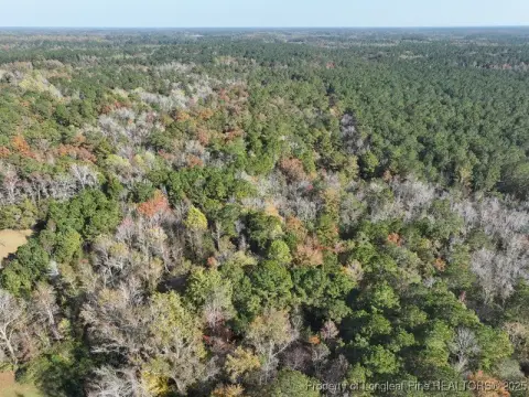 Heavily Wooded Homesite Near Whiteville