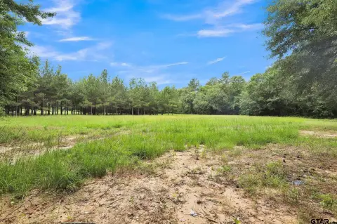 Tyler, TX Rural Acreage Investment