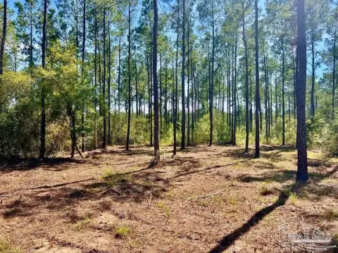 Land Homesite in NatureWalk Community