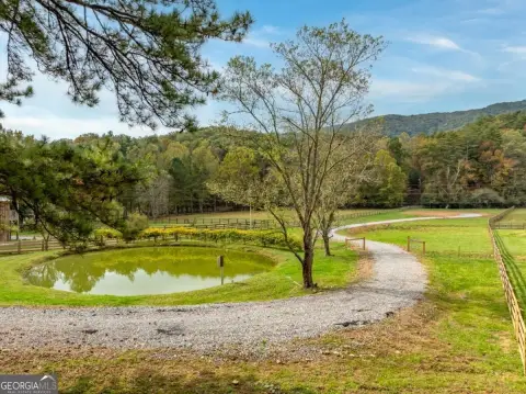 Ellijay Land with Tails Creek