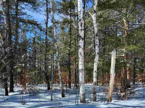 Half-Acre Lot in Lakes Community