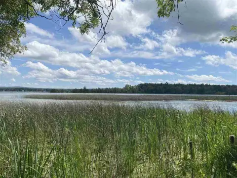 Wooded Lot with Creek Access