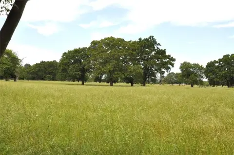 9.2 Acres Near Downtown Edgewood