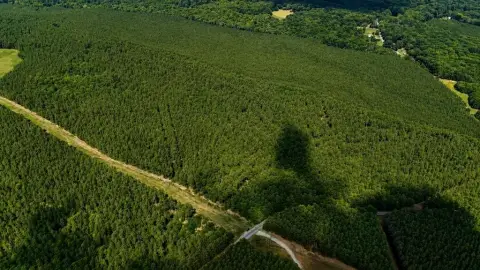 Acreage with Road Frontage for Hunting