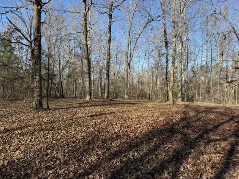 26 Acres Hunting and Farmland
