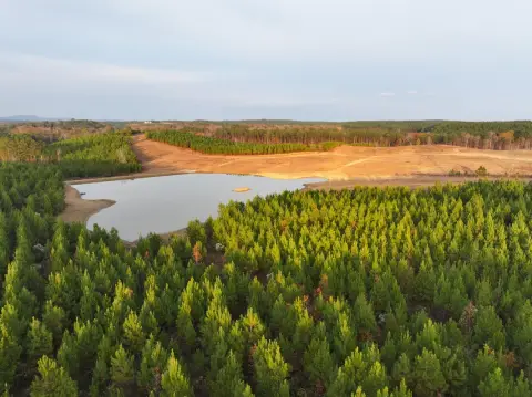 160 Acres in Shelby County