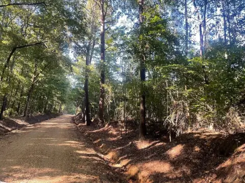 Hunting Land with Timber
