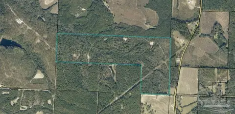 Timberland Recreational Tract