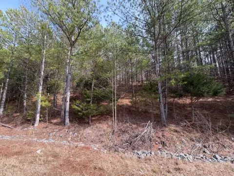 Land in Cohutta, Georgia