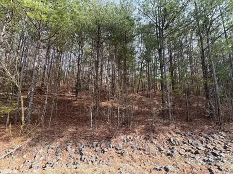 Land in Cohutta, Georgia