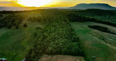 Wooded Recreation Land Tract