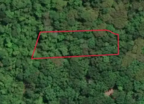 Wooded Subdivision Land with Creek Access