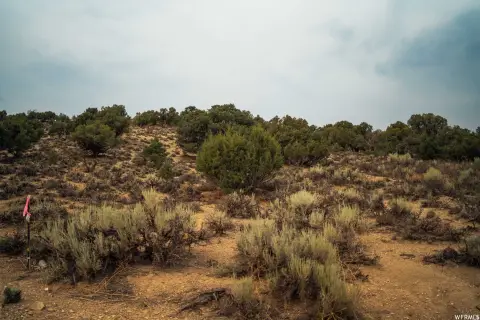 Scenic Cabin Lot with HOA Access