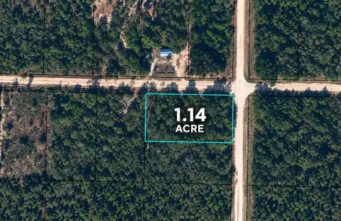 Wooded Corner Land