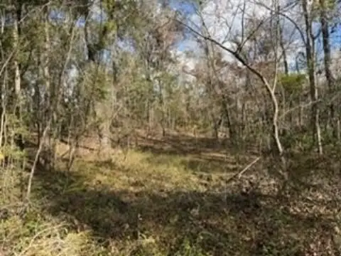 9.64 Acres Wooded Land in Bell