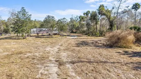 Buildable Land in Steinhatchee, FL