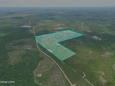 Wooded Hunting and Recreation Land