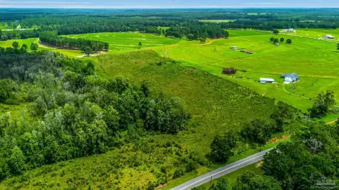 Partially Cleared Agricultural Land