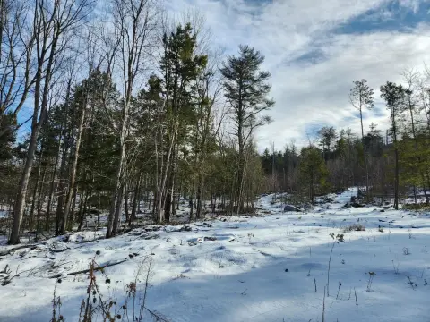 Gilmanton Land for New Home