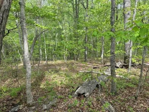 Land Near Kerr Lake
