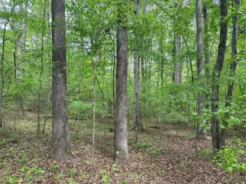 Land Near Kerr Lake