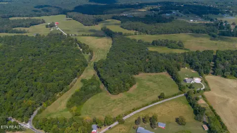 Pasture and Timber Farmland