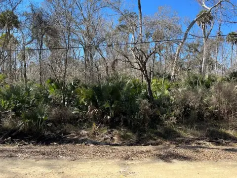 Land Near Steinhatchee with Airstrip