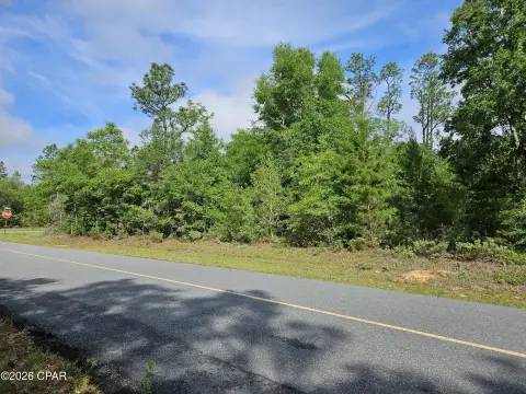 Wooded Residential Lot