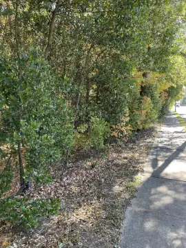 Commercial Lot in Downtown McDonough