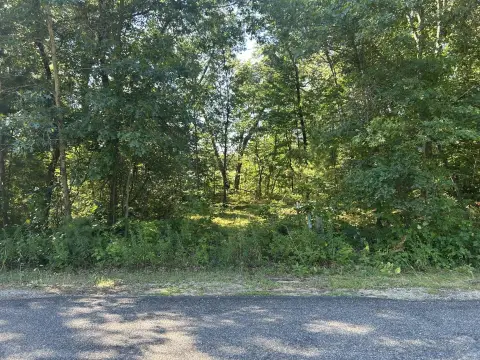 Houghton Lake Wooded Residential Lot