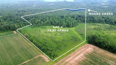 Wooded Hunting and Waterfront Land