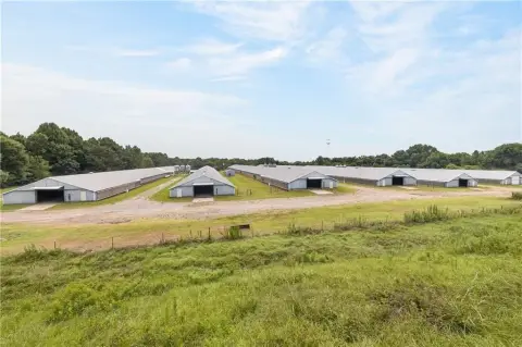 Active 6-House Poultry Farm