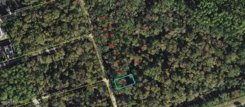 Crawfordville Vacant Land Opportunity