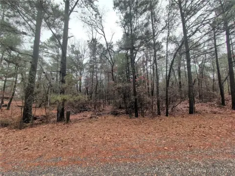 Wooded Lot in Woodlake Neighborhood