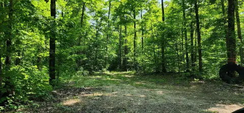564 Acres of Hardwood Land