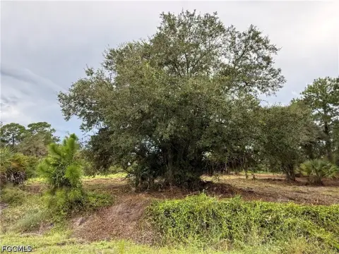 Cleared Land Parcel