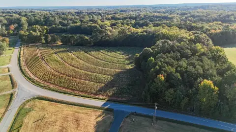 Agricultural Land with Open Field