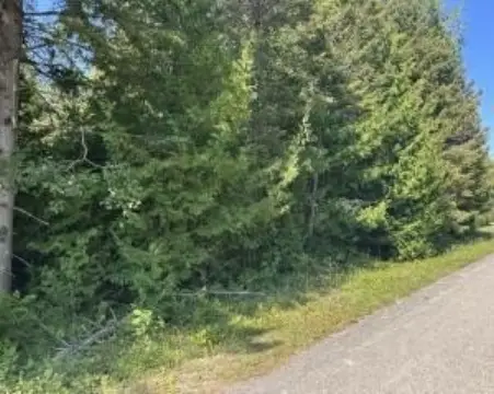 Presque Isle Land Opportunity