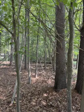 Residential Lot in Pentwater Village