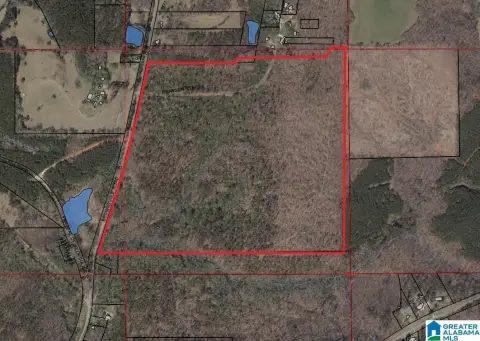Wooded Hunting Land
