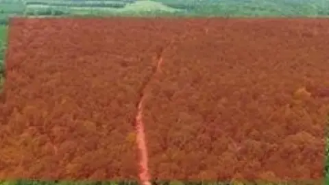 Recreational Hunting Land Tract
