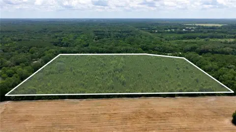 30 Acres of Wooded Land