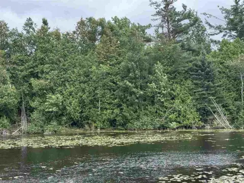 Lakefront Commercial Land Parcel