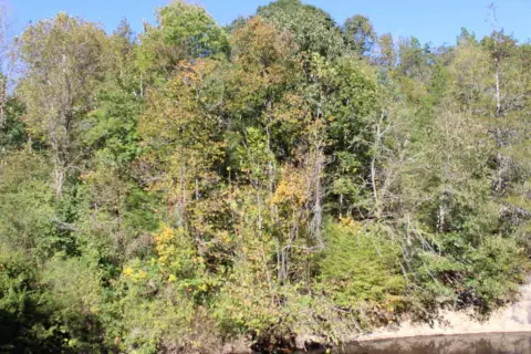 Sandy Creek Waterfront Land