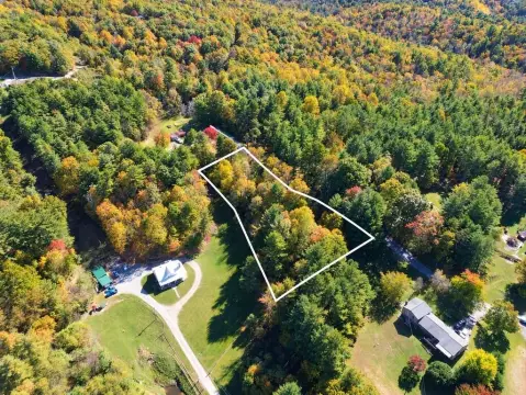Wooded Land Tract