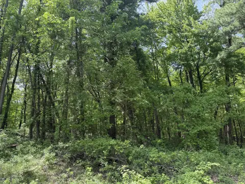 Ada Township 5.44 Acre Land