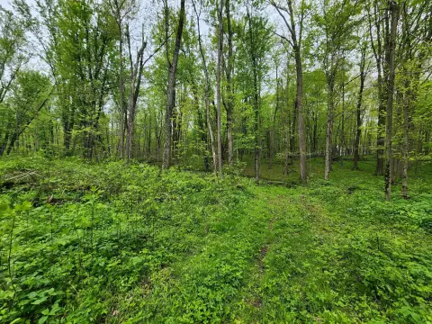 Hunting Land with Multi-Parcels