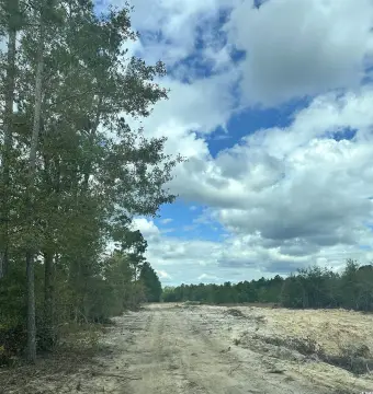 Undeveloped Hunting Land For Sale